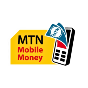 Logo MTN money